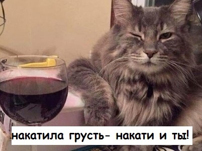 Курилка- разговоры на любые темы - Бодибилдинг форум AnabolicShops