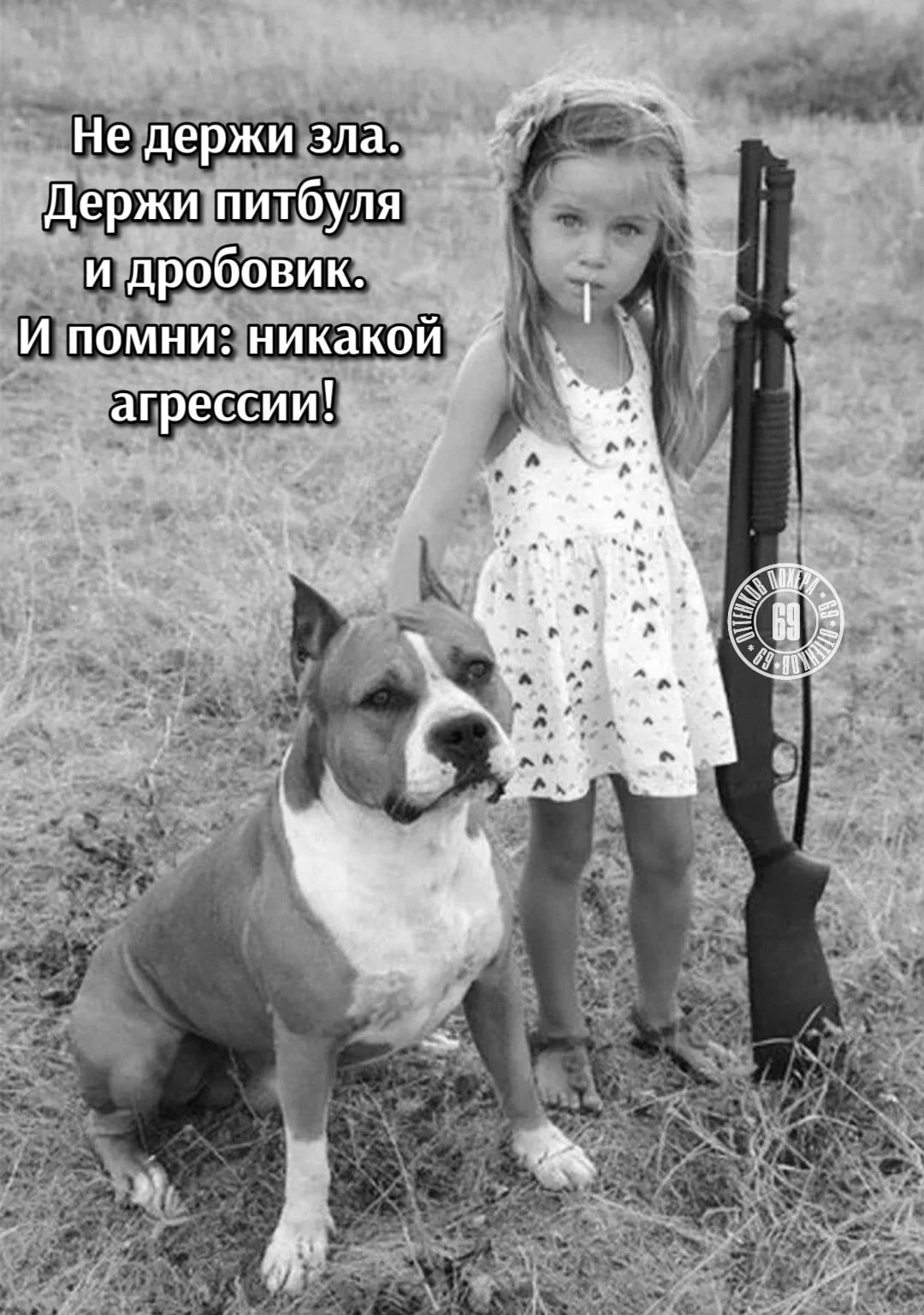 Metandienone | Метандиенон© - Бодибилдинг форум AnabolicShops