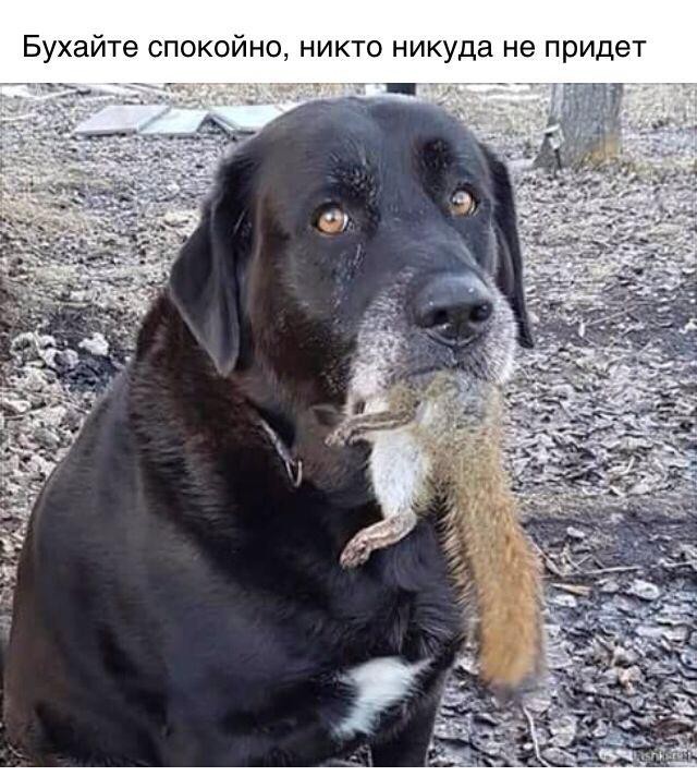 Курилка- разговоры на любые темы - Бодибилдинг форум AnabolicShops