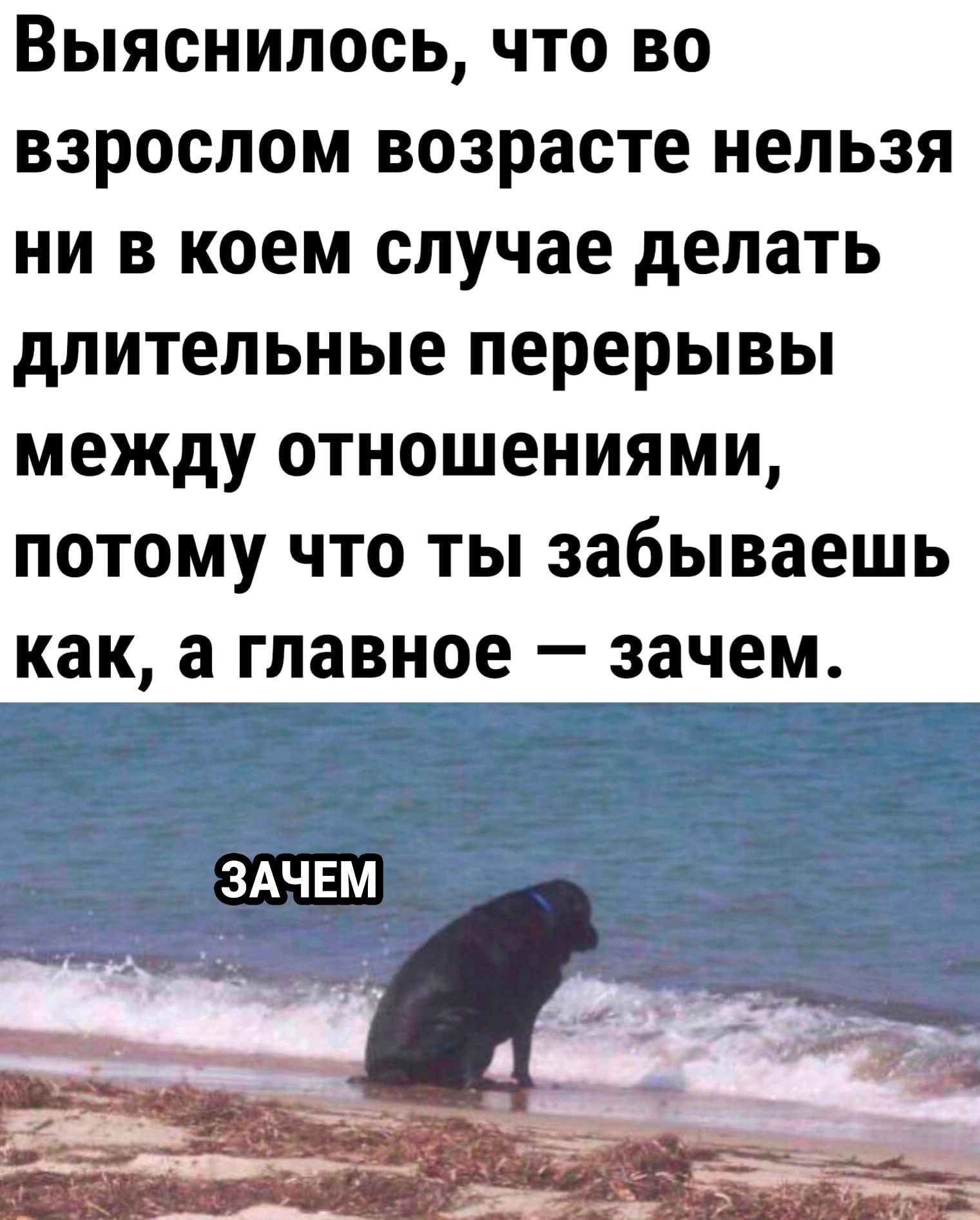 Анекдоты обо всем - Бодибилдинг форум AnabolicShops