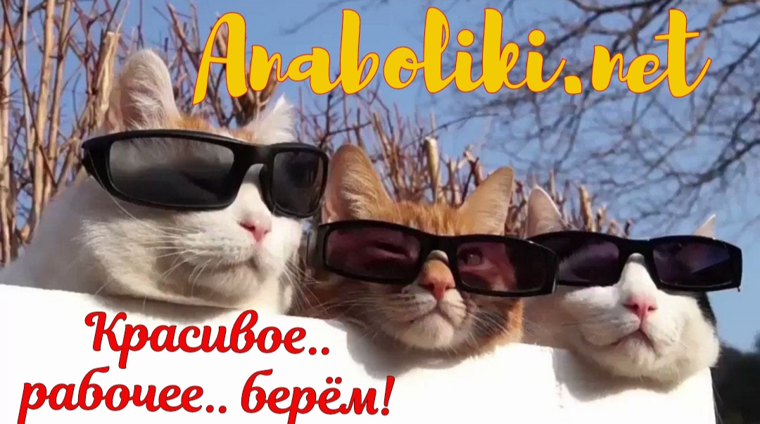 АНАБОЛИКИ.net - оф.дилер SP, Zerox, Genetic, Magnus, Lyka ! - Бодибилдинг форум AnabolicShops