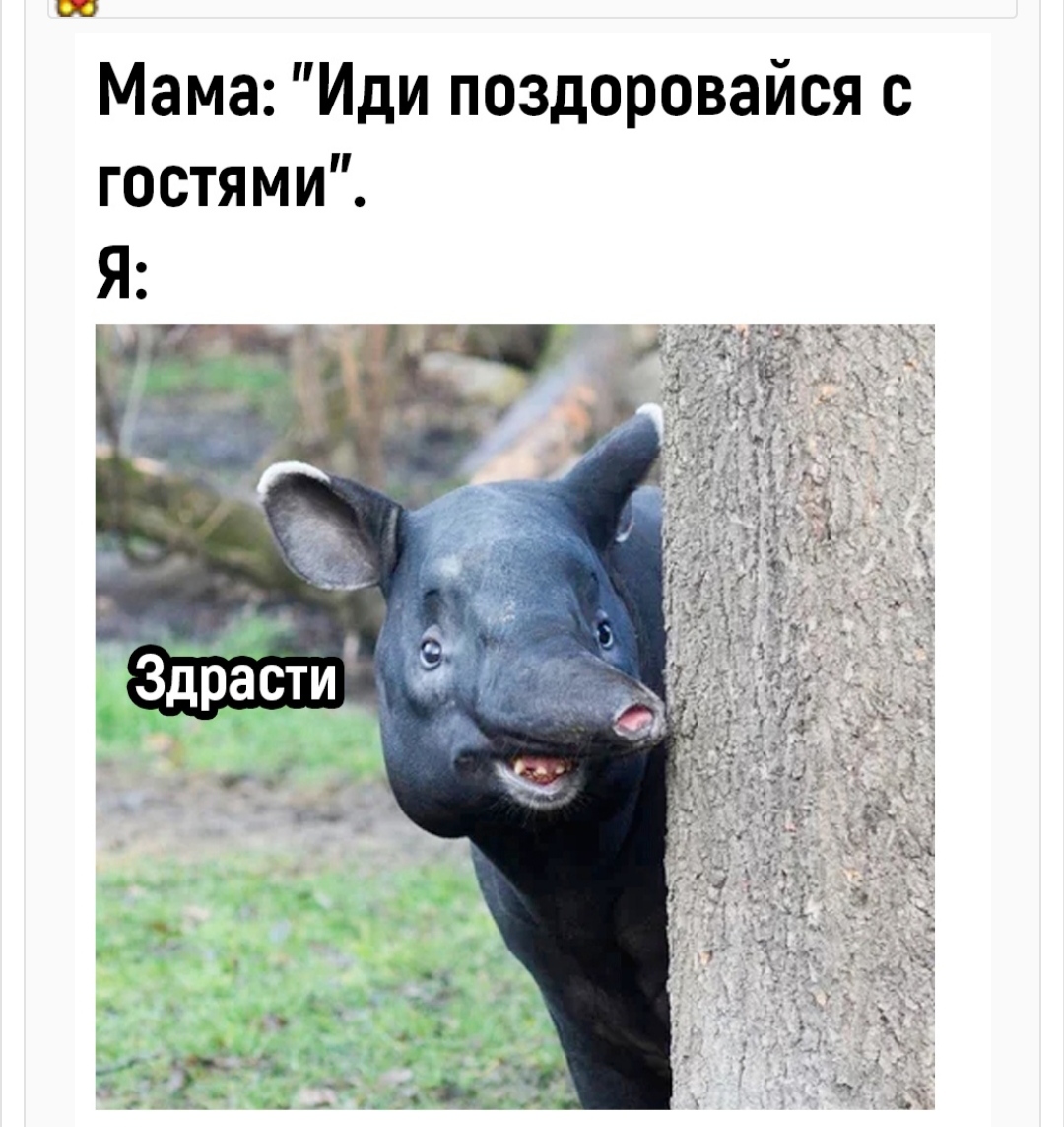 Курилка- разговоры на любые темы - Бодибилдинг форум AnabolicShops