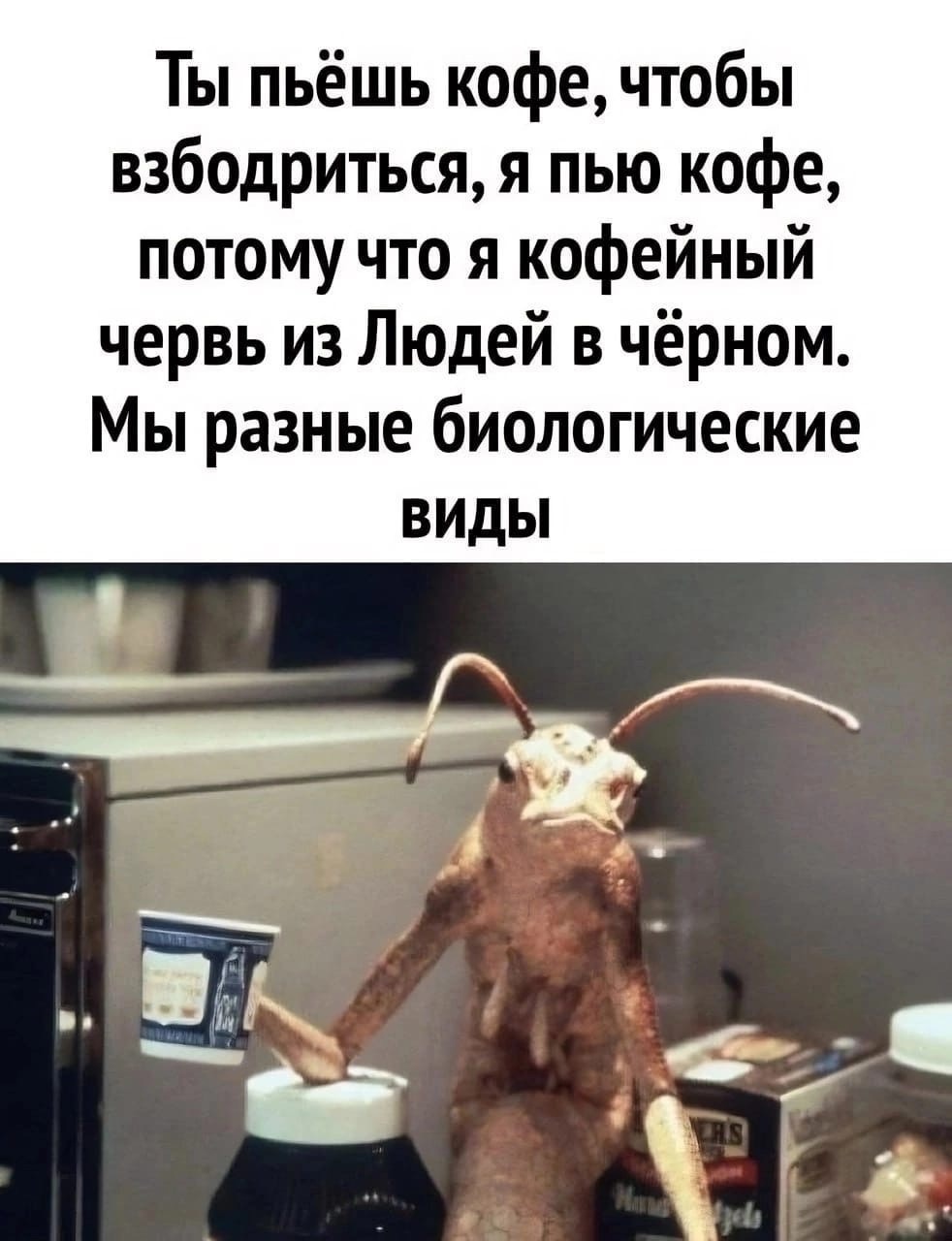 BIOSURE religions - Бодибилдинг форум AnabolicShops