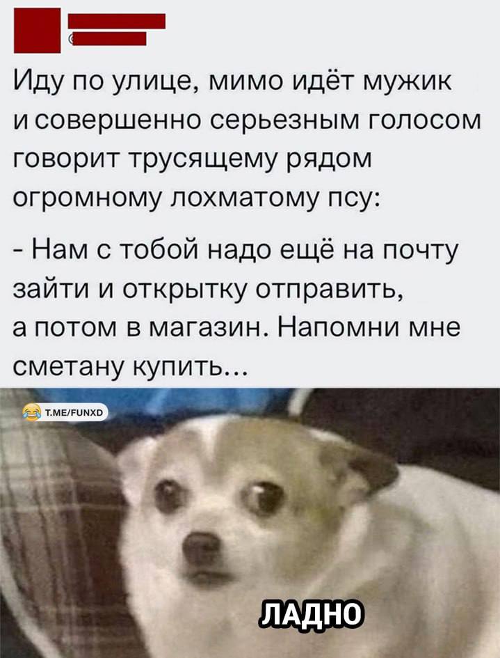 Анекдоты обо всем - Бодибилдинг форум AnabolicShops