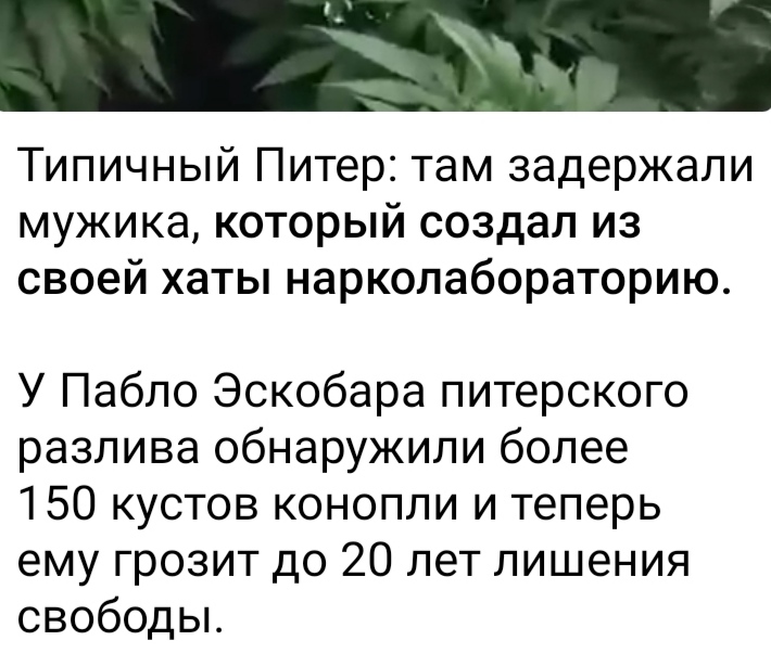 Hilma PRO - с заботой о вашем здоровье! - Бодибилдинг форум AnabolicShops