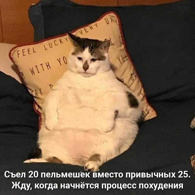 Анекдоты обо всем - Бодибилдинг форум AnabolicShops