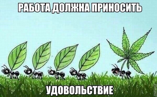 Hilma PRO - с заботой о вашем здоровье! - Бодибилдинг форум AnabolicShops