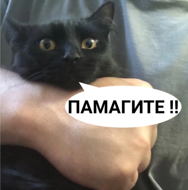 Hilma PRO - с заботой о вашем здоровье! - Бодибилдинг форум AnabolicShops
