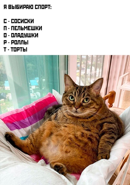 Курилка- разговоры на любые темы - Бодибилдинг форум AnabolicShops