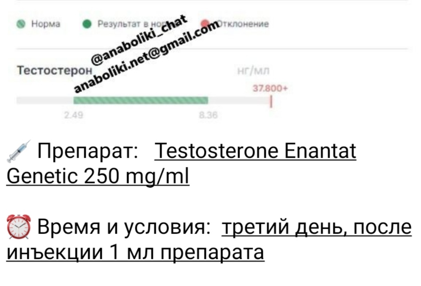 АНАБОЛИКИ.net - оф.дилер SP, Zerox, Genetic, Magnus, Lyka ! - Бодибилдинг форум AnabolicShops