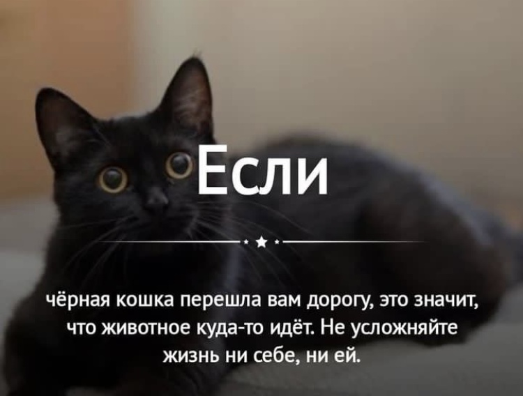 Новостной дайджест от 27. 07. 2023 - Бодибилдинг форум AnabolicShops
