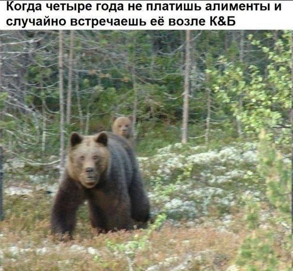 Курилка- разговоры на любые темы - Бодибилдинг форум AnabolicShops