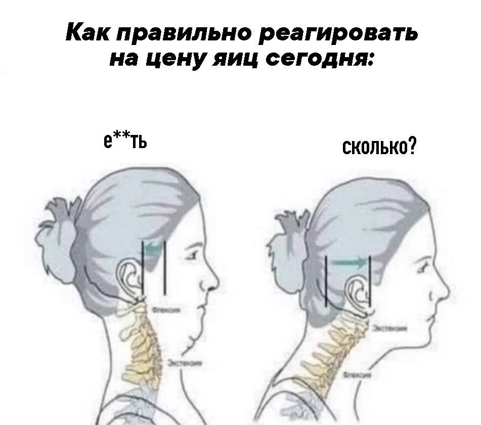Анекдоты обо всем - Бодибилдинг форум AnabolicShops