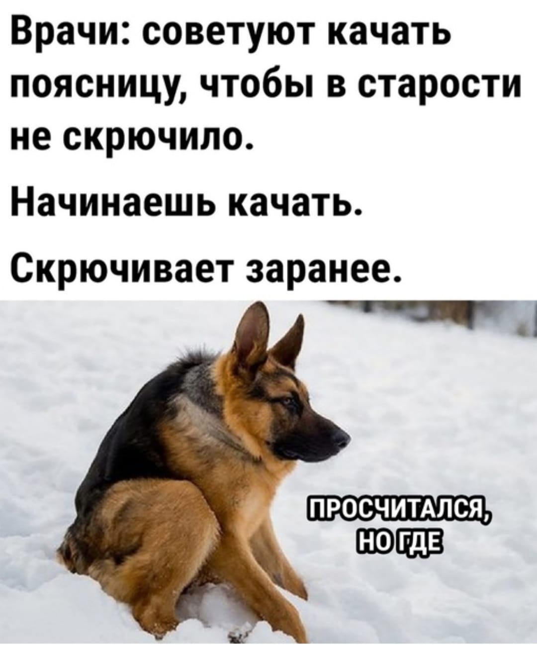 Курилка- разговоры на любые темы - Бодибилдинг форум AnabolicShops