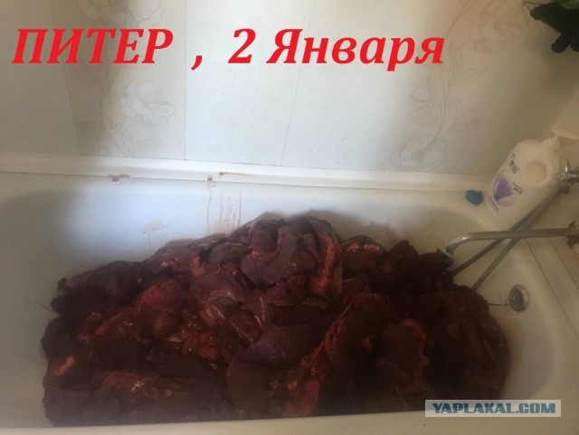 Курилка- разговоры на любые темы - Бодибилдинг форум AnabolicShops