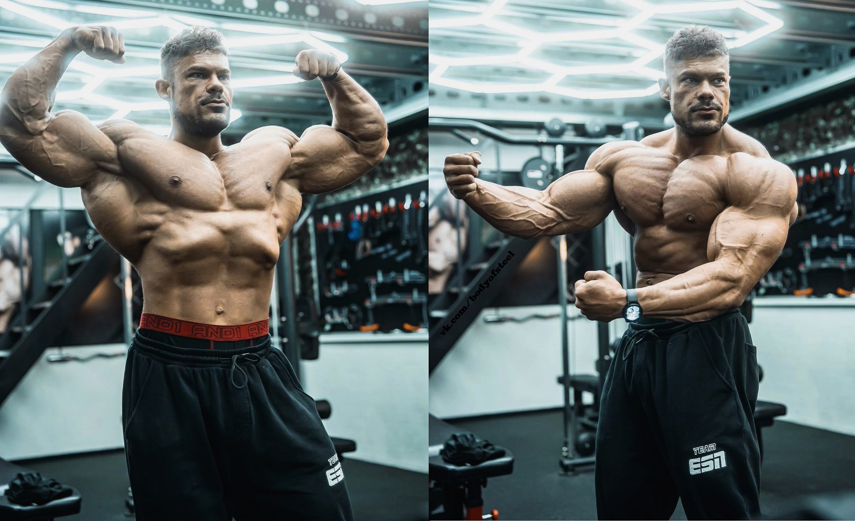 О своем курсе стероидов рассказал Уэсли Виссерс - Бодибилдинг форум AnabolicShops