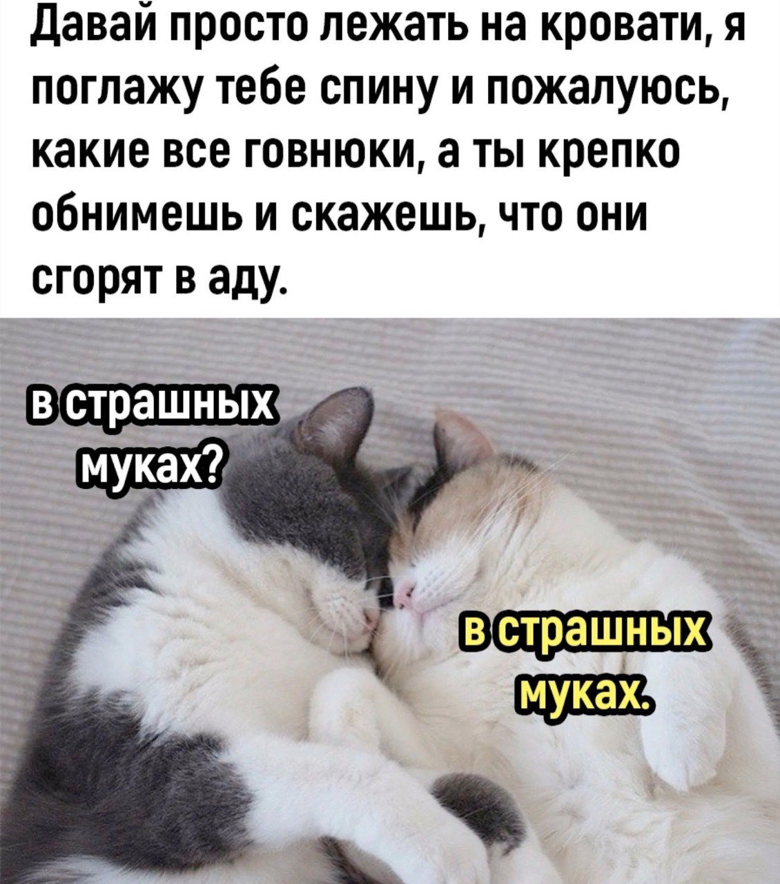 Приколюшные картинки - Бодибилдинг форум AnabolicShops