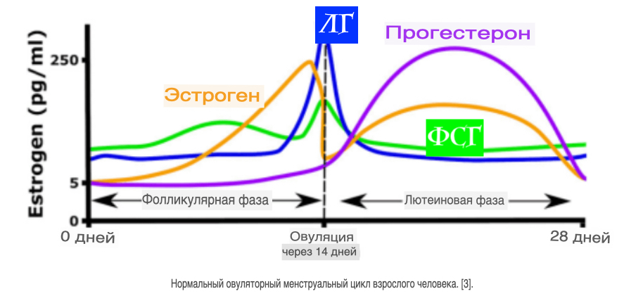 Hilma PRO - с заботой о вашем здоровье! - Бодибилдинг форум AnabolicShops