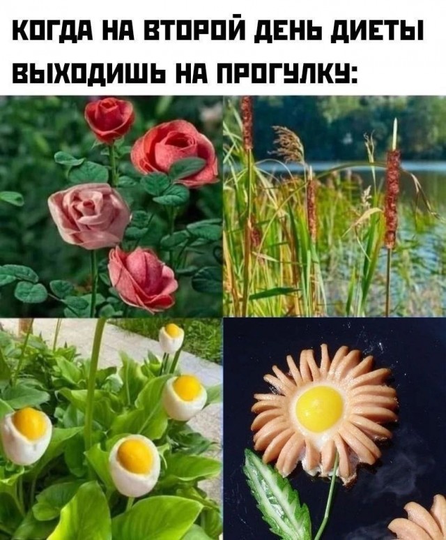 Приколюшные картинки - Бодибилдинг форум AnabolicShops