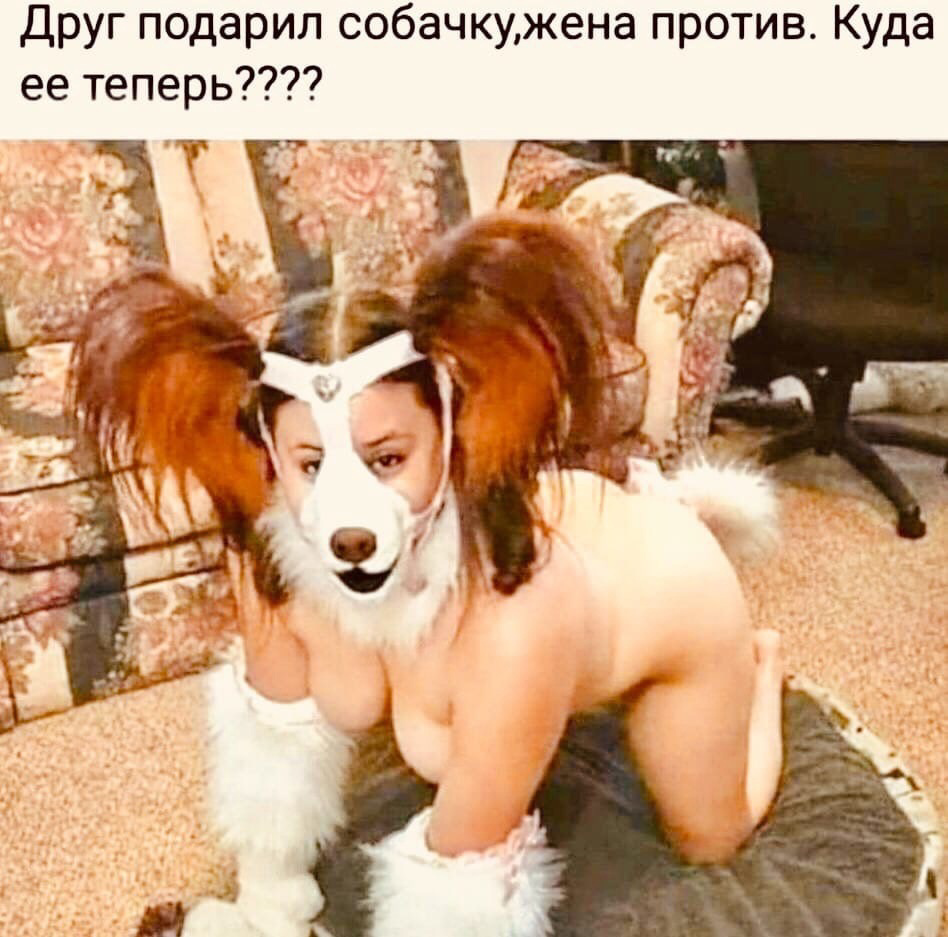 Приколюшные картинки - Бодибилдинг форум AnabolicShops
