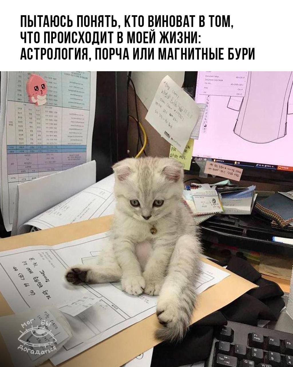 Simplex Pharma. Качественная фармакология. Надежный поставщик. - Бодибилдинг форум AnabolicShops