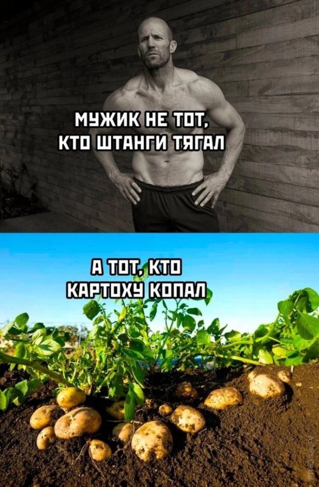 Курилка- разговоры на любые темы - Бодибилдинг форум AnabolicShops