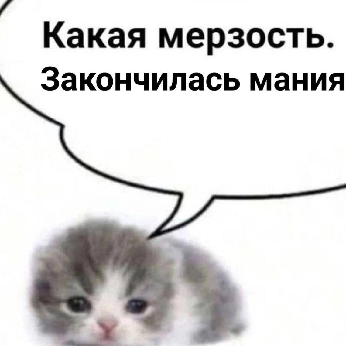 Болталка про ЗОЖ - трехсотый пауэрлифтер! - Бодибилдинг форум AnabolicShops