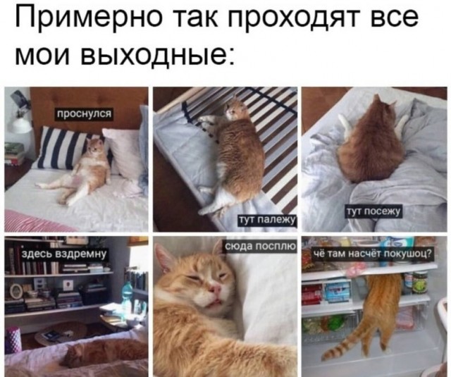 Курилка- разговоры на любые темы - Бодибилдинг форум AnabolicShops