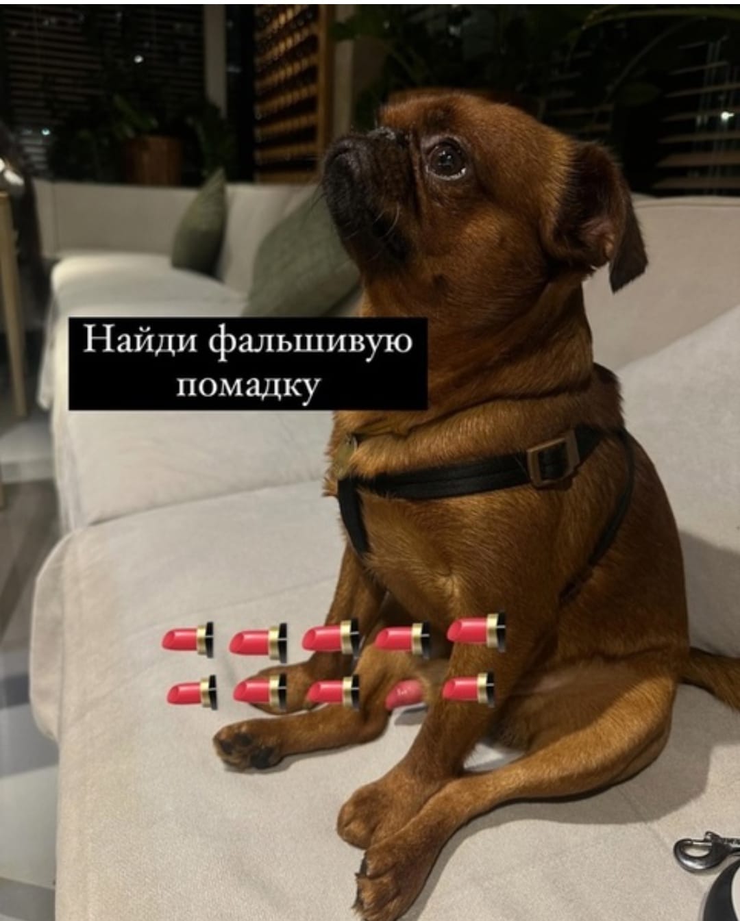 Приколюшные картинки - Бодибилдинг форум AnabolicShops