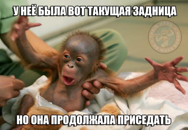 АНАБОЛИКИ.net - оф.дилер SP, Zerox, Genetic, Magnus, Lyka ! - Бодибилдинг форум AnabolicShops