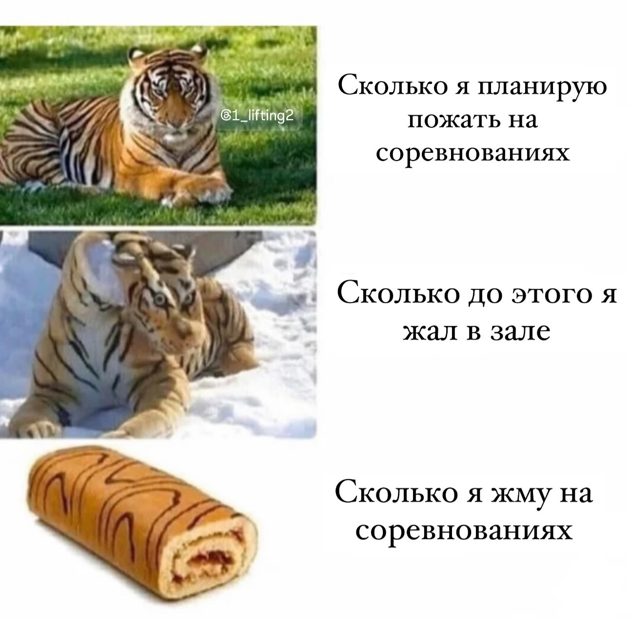 Hilma PRO - с заботой о вашем здоровье! - Бодибилдинг форум AnabolicShops