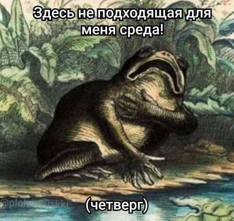 Болталка про ЗОЖ - трехсотый пауэрлифтер! - Бодибилдинг форум AnabolicShops