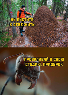 Приколюшные картинки - Бодибилдинг форум AnabolicShops