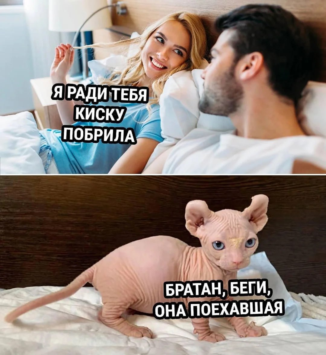 Приколюшные картинки - Бодибилдинг форум AnabolicShops