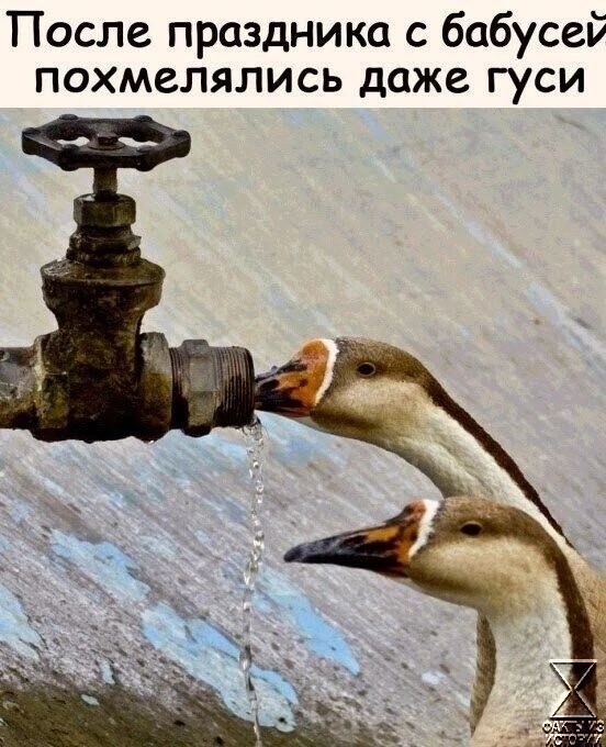 Приколюшные картинки - Бодибилдинг форум AnabolicShops
