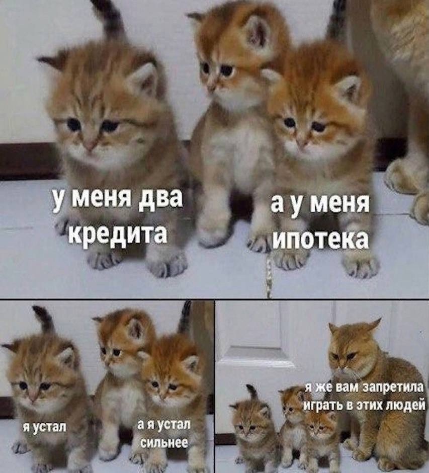 Приколюшные картинки - Бодибилдинг форум AnabolicShops
