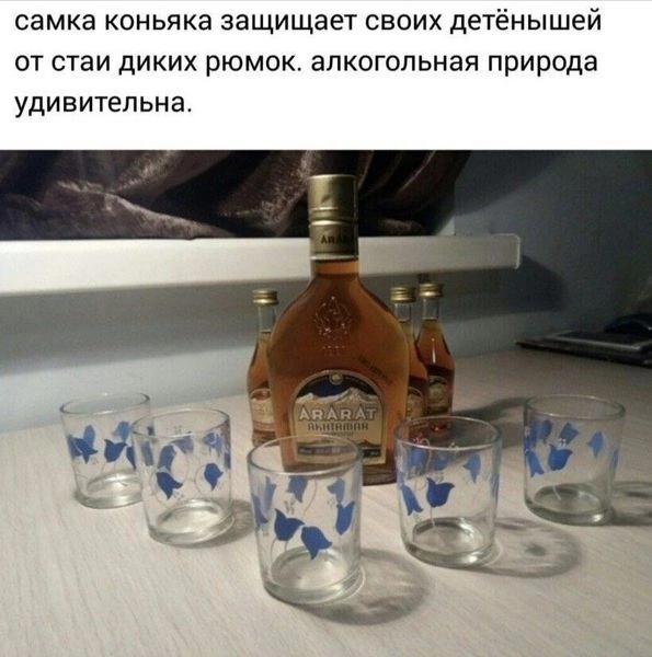 Приколюшные картинки - Бодибилдинг форум AnabolicShops