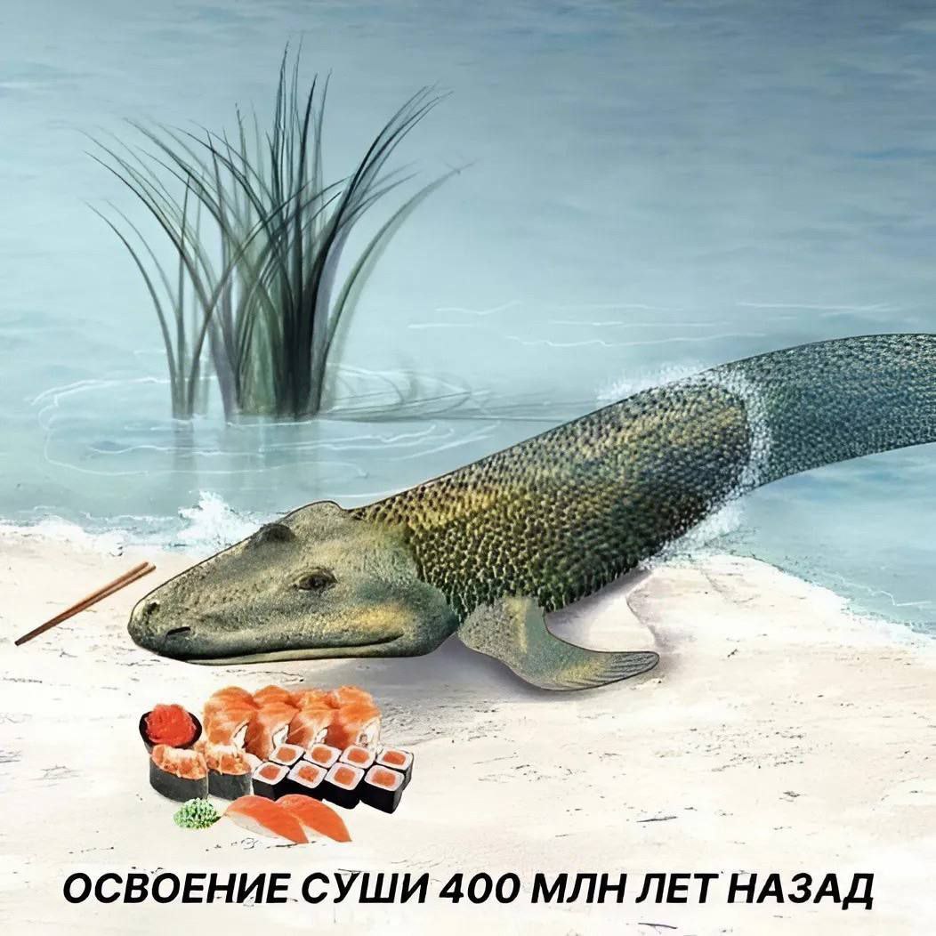 Приколюшные картинки - Бодибилдинг форум AnabolicShops