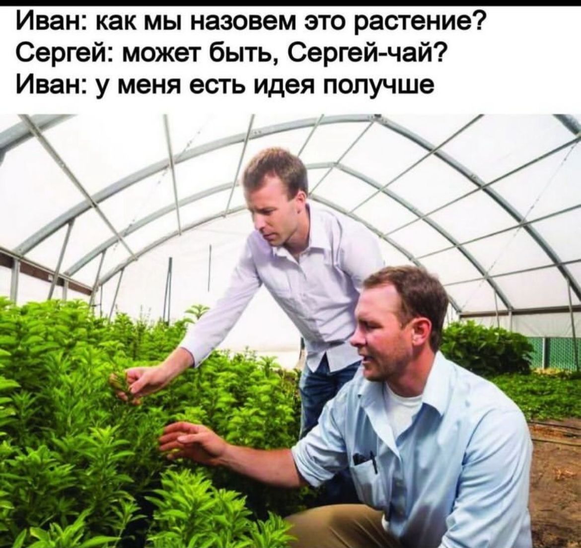 Приколюшные картинки - Бодибилдинг форум AnabolicShops