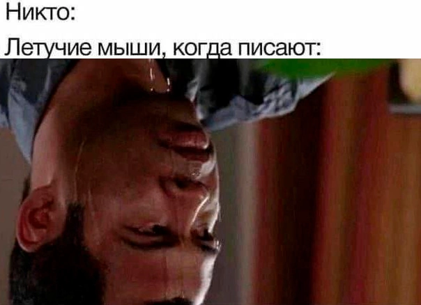 Приколюшные картинки - Бодибилдинг форум AnabolicShops