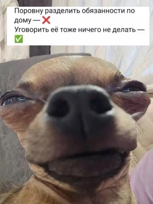 Приколюшные картинки - Бодибилдинг форум AnabolicShops