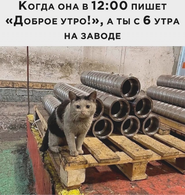 Приколюшные картинки - Бодибилдинг форум AnabolicShops