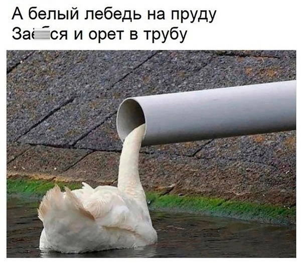 Приколюшные картинки - Бодибилдинг форум AnabolicShops