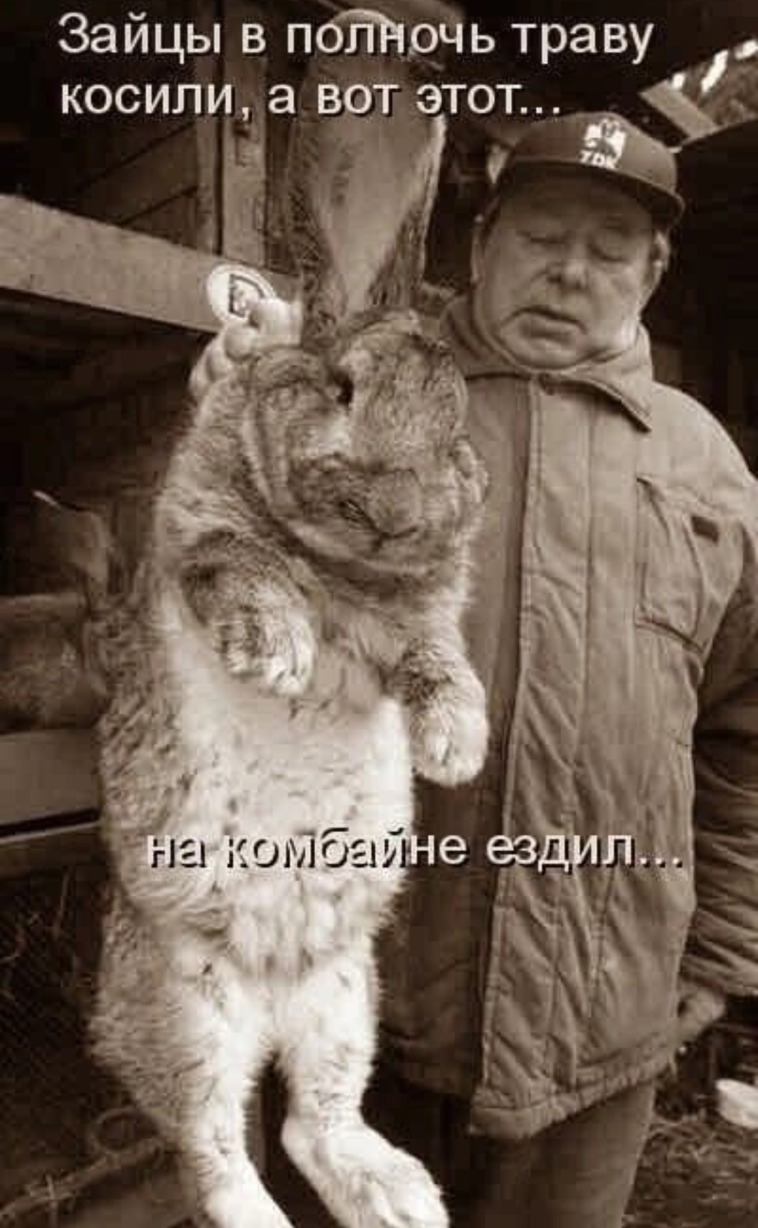 Приколюшные картинки - Бодибилдинг форум AnabolicShops