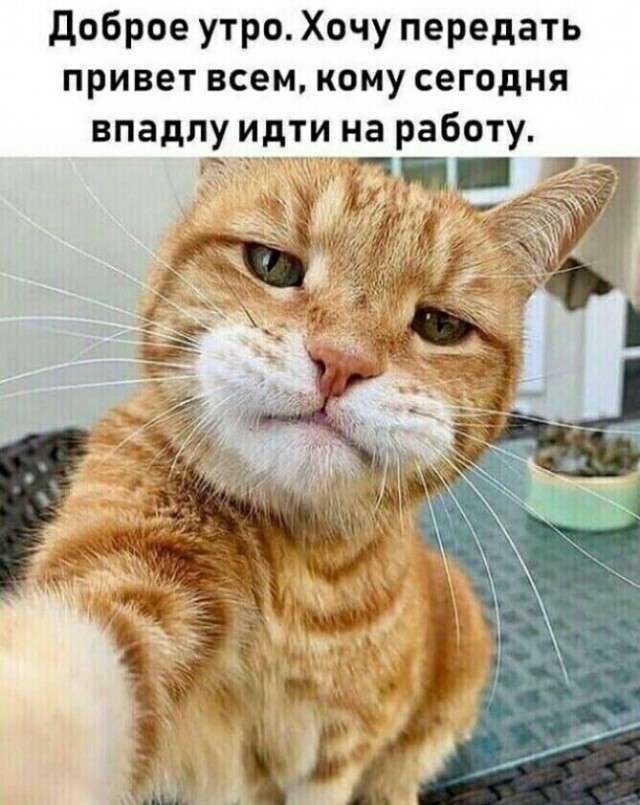 Курилка- разговоры на любые темы - Бодибилдинг форум AnabolicShops