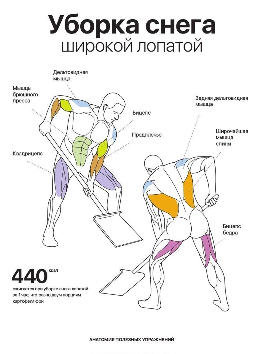 Приколюшные картинки - Бодибилдинг форум AnabolicShops