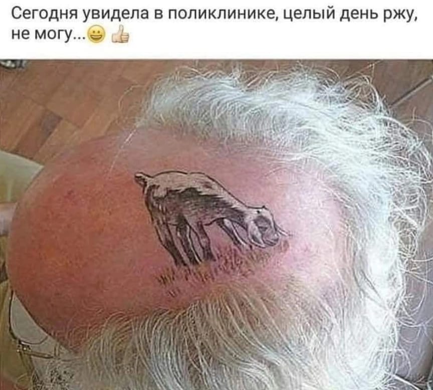 Приколюшные картинки - Бодибилдинг форум AnabolicShops