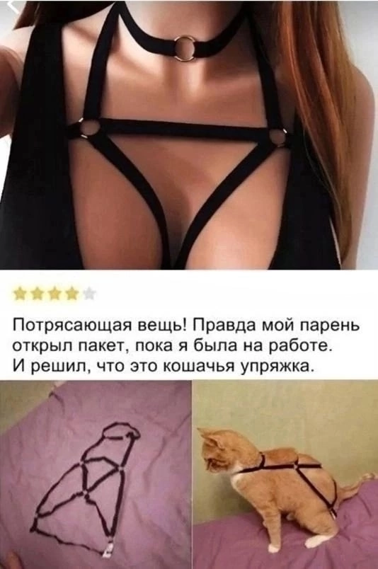 Приколюшные картинки - Бодибилдинг форум AnabolicShops