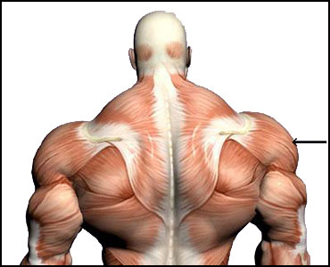 Amenadiel - Бодибилдинг форум AnabolicShops