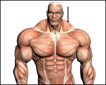 Amenadiel - Бодибилдинг форум AnabolicShops